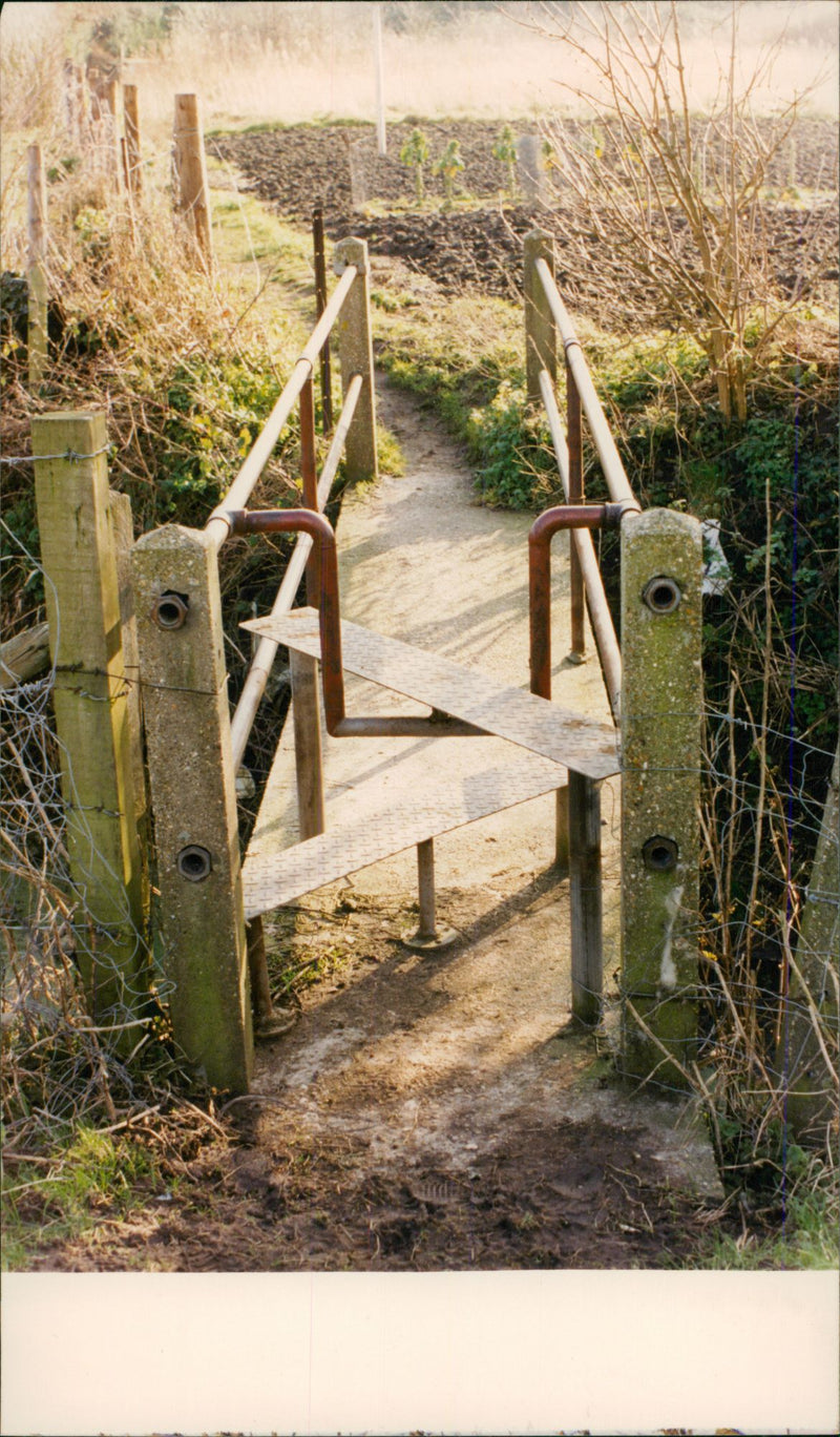 View of the nature. - Vintage Photograph