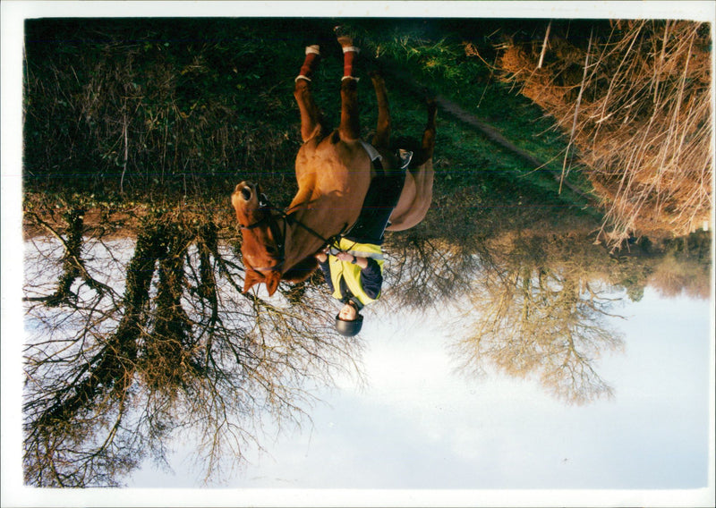 View of the nature. - Vintage Photograph