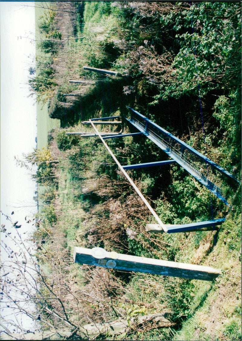 View of the nature. - Vintage Photograph