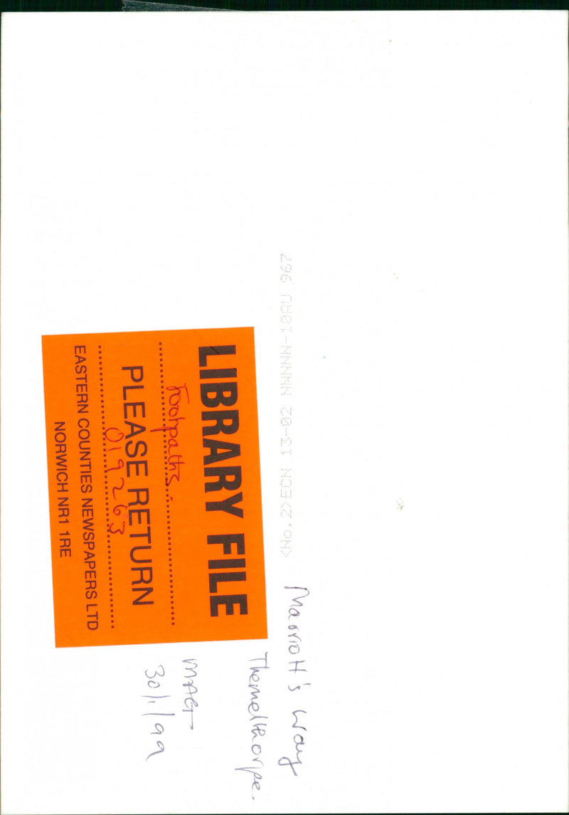 View of the nature. - Vintage Photograph