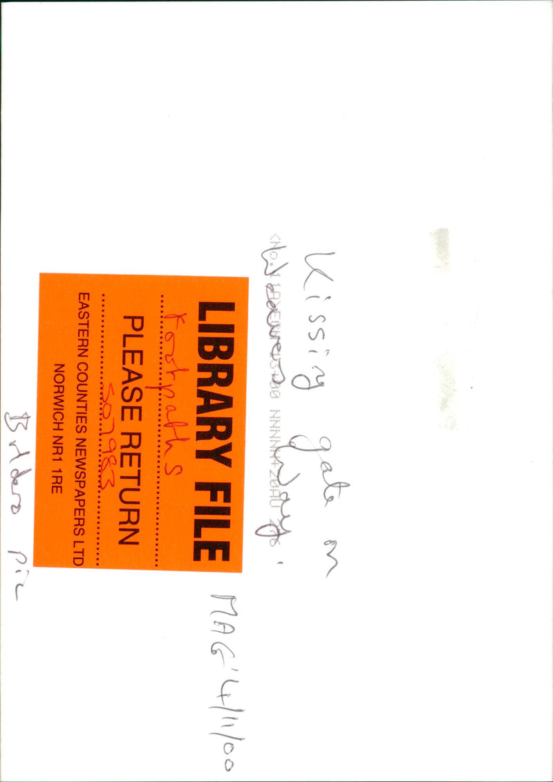 View of the nature. - Vintage Photograph