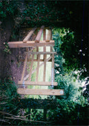 View of the nature. - Vintage Photograph