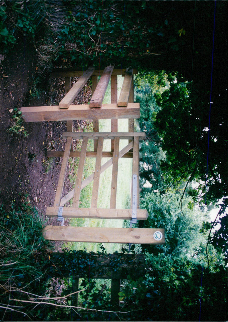 View of the nature. - Vintage Photograph