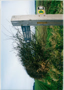View of the nature. - Vintage Photograph