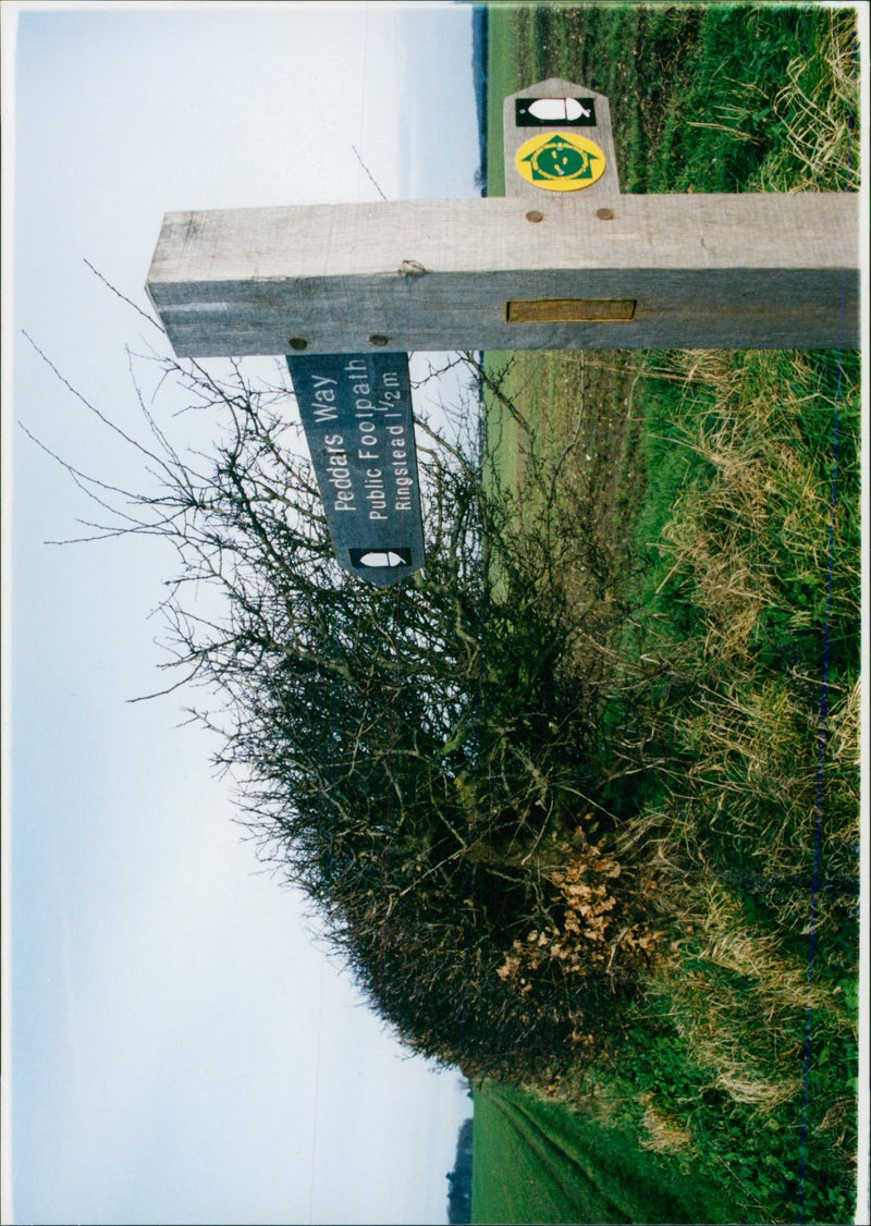View of the nature. - Vintage Photograph