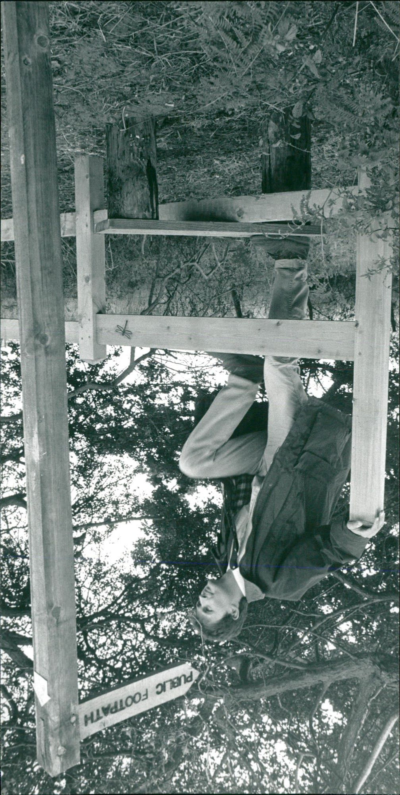 View of the nature. - Vintage Photograph