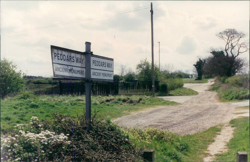 View of the nature. - Vintage Photograph