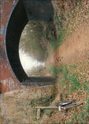 View of the nature. - Vintage Photograph