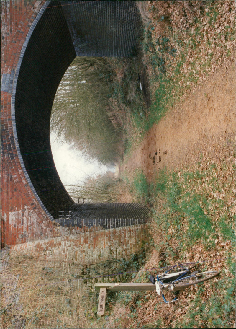 View of the nature. - Vintage Photograph