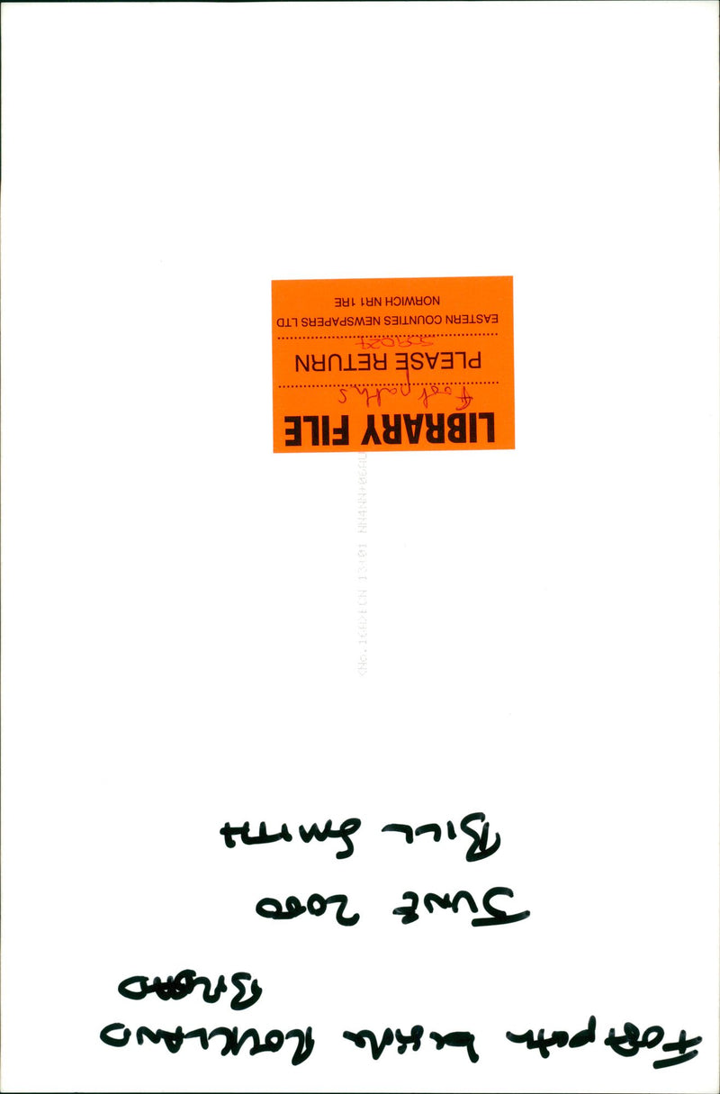 View of the nature. - Vintage Photograph