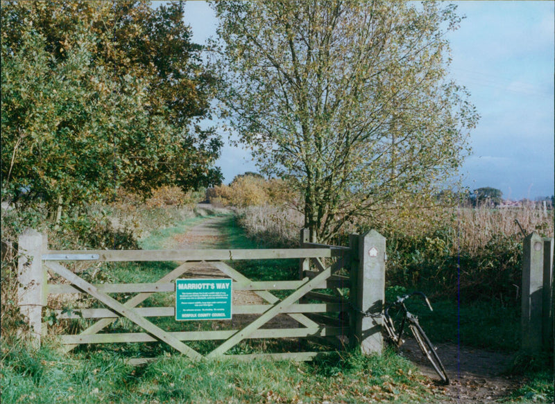 View of the nature. - Vintage Photograph