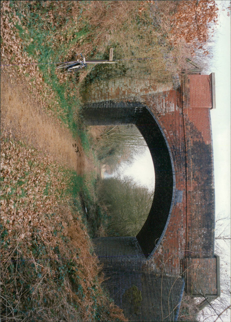 View of the nature. - Vintage Photograph