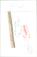 View of the nature. - Vintage Photograph