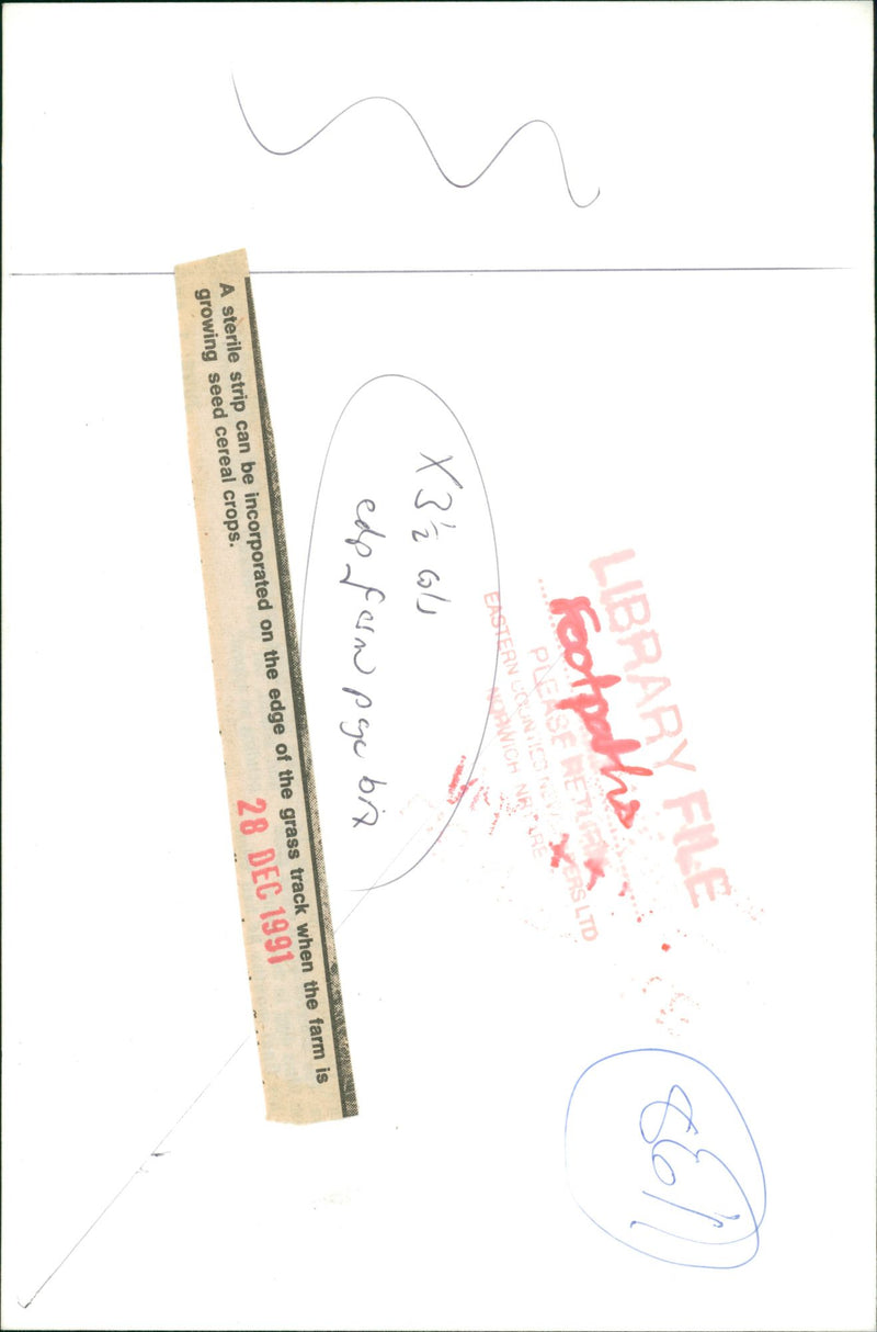 View of the nature. - Vintage Photograph