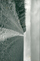 View of the nature. - Vintage Photograph