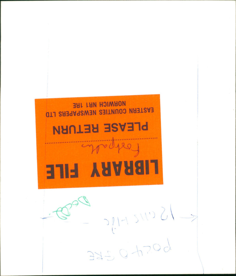 View of the nature. - Vintage Photograph