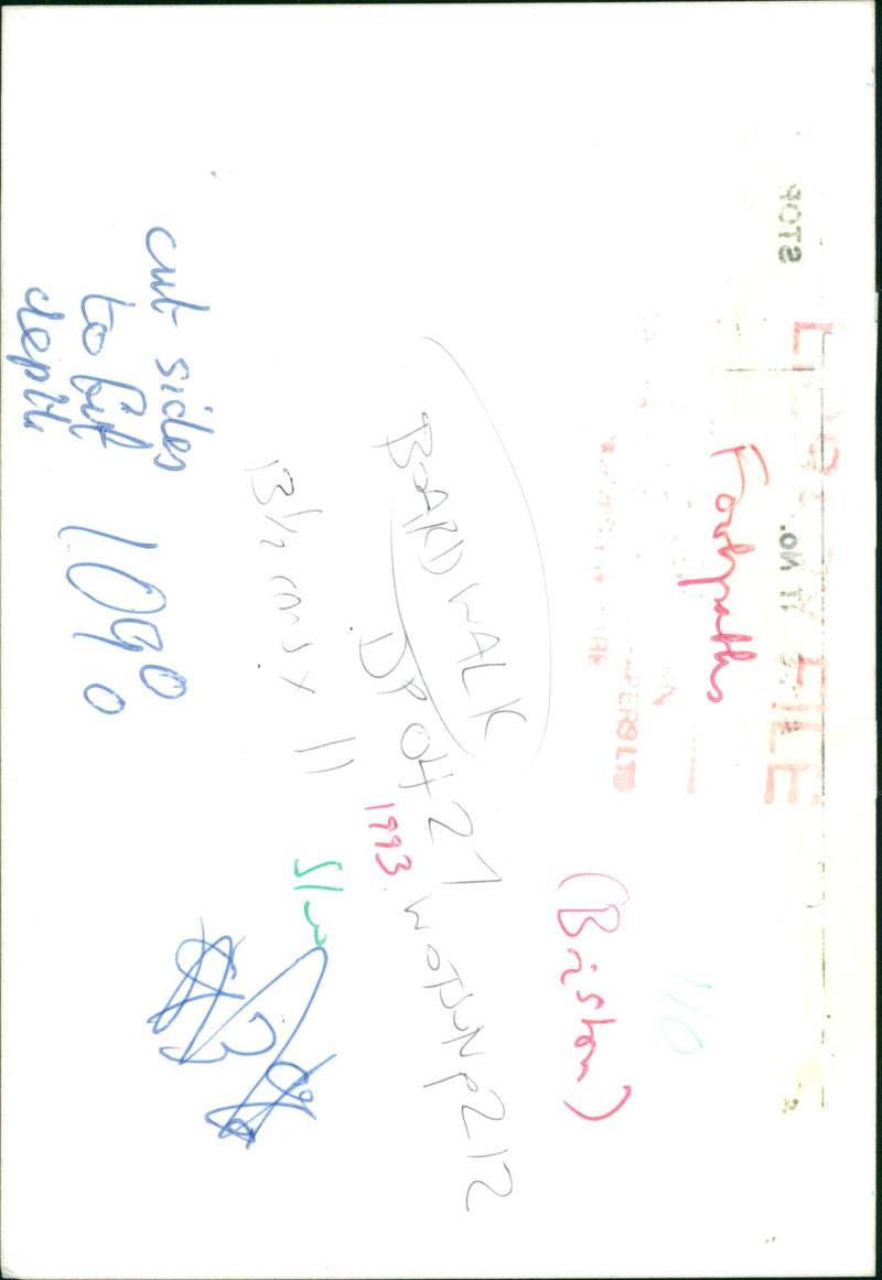 View of the nature. - Vintage Photograph