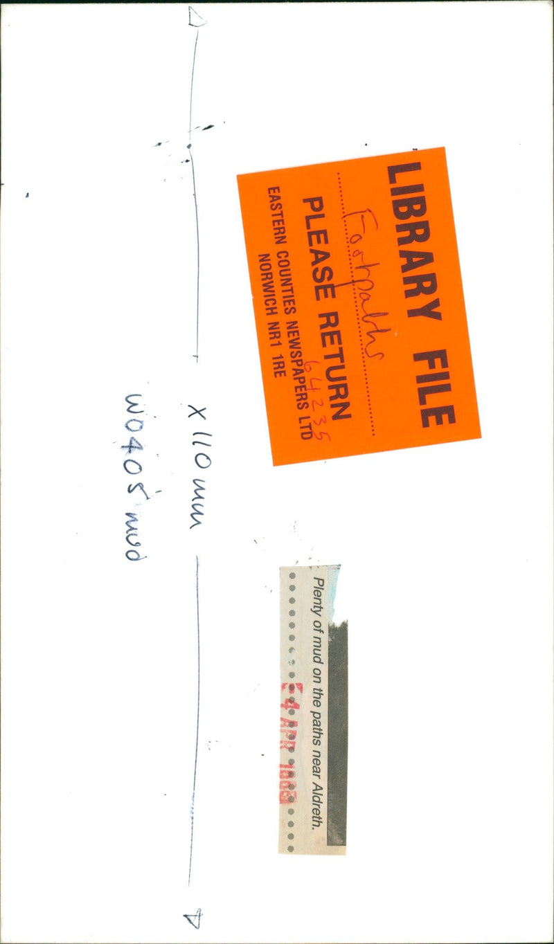 View of the nature. - Vintage Photograph