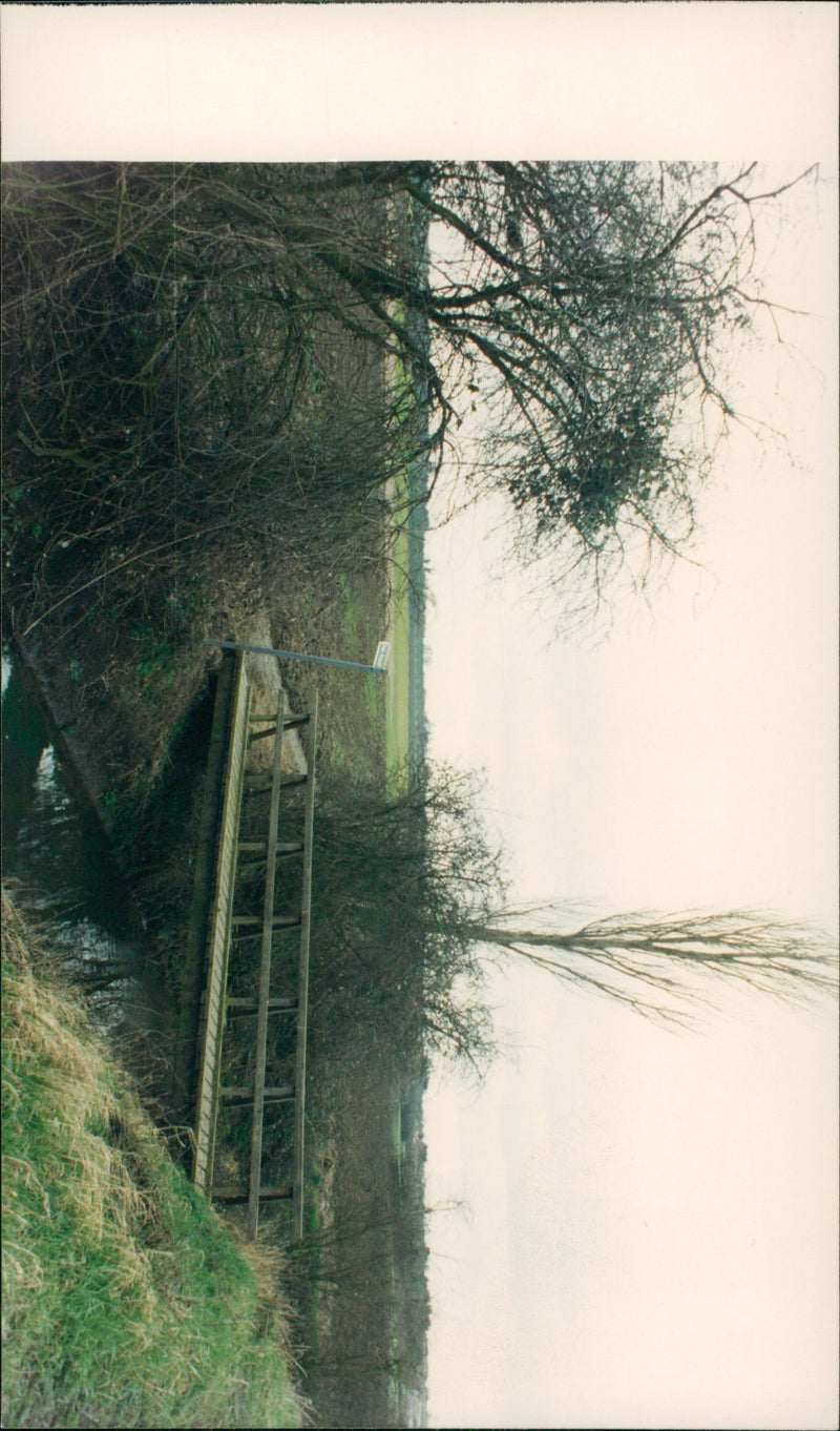View of the nature. - Vintage Photograph