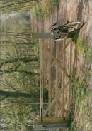 View of the nature. - Vintage Photograph