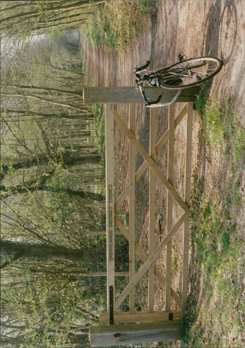 View of the nature. - Vintage Photograph