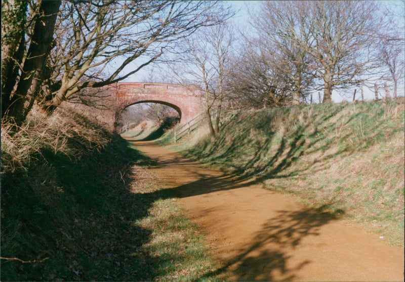 View of the nature. - Vintage Photograph