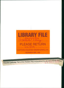 View of the nature. - Vintage Photograph