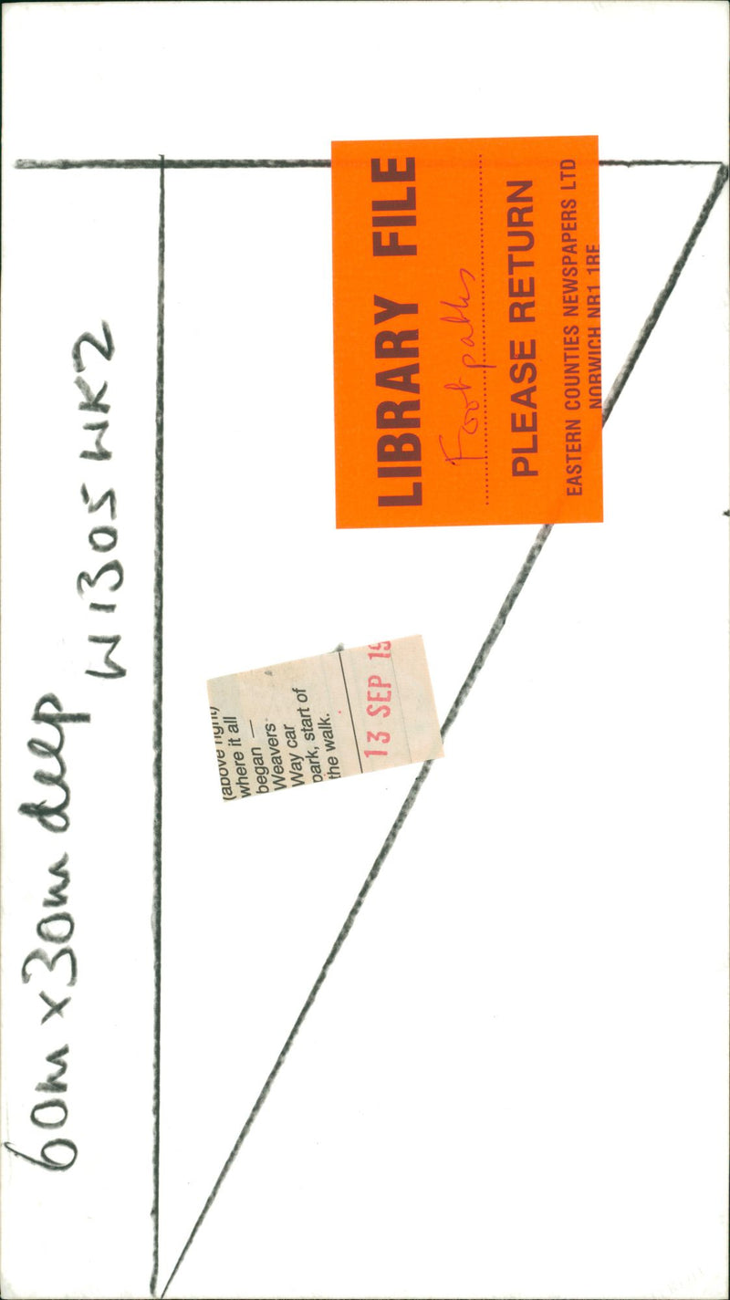 View of the nature. - Vintage Photograph