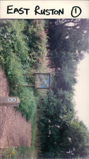 View of the nature. - Vintage Photograph