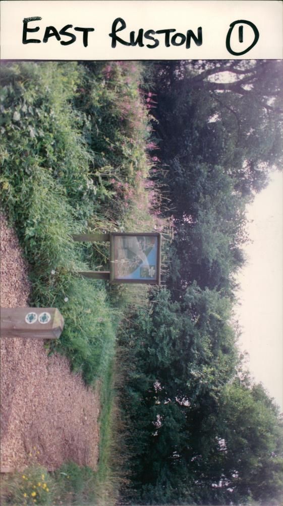 View of the nature. - Vintage Photograph
