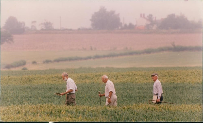 View of the nature. - Vintage Photograph