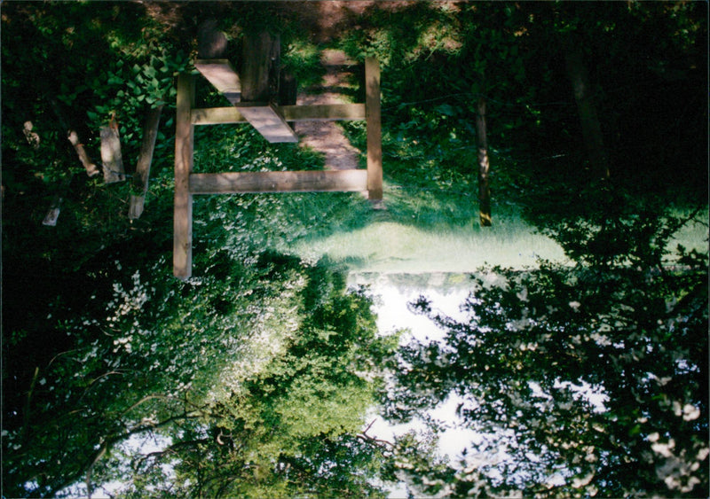 View of the nature. - Vintage Photograph