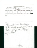 View of the nature. - Vintage Photograph