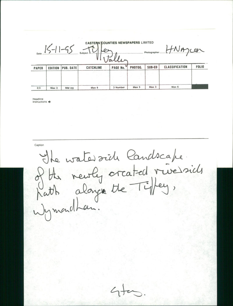 View of the nature. - Vintage Photograph