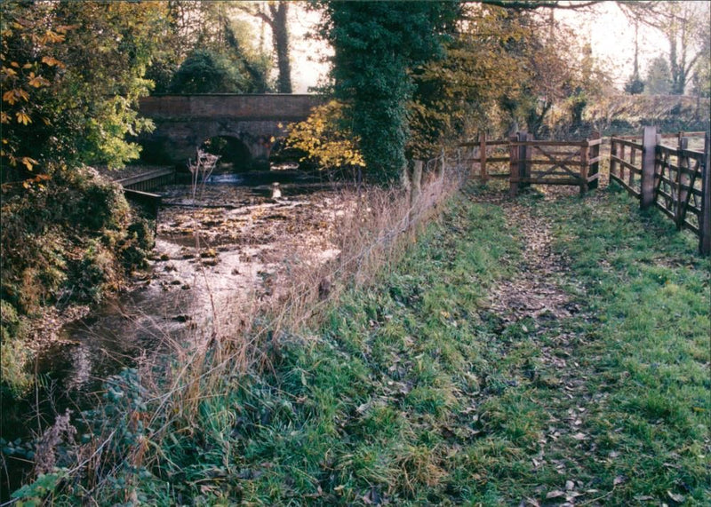 View of the nature. - Vintage Photograph