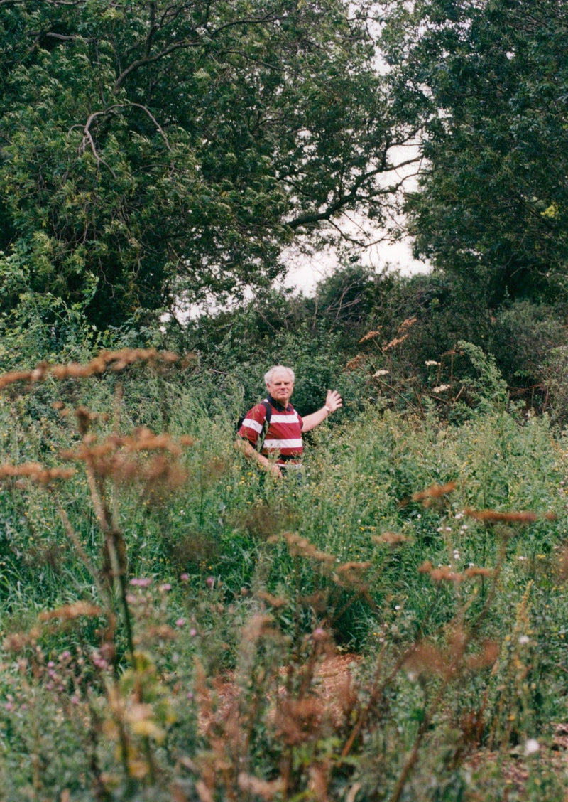 View of the nature. - Vintage Photograph
