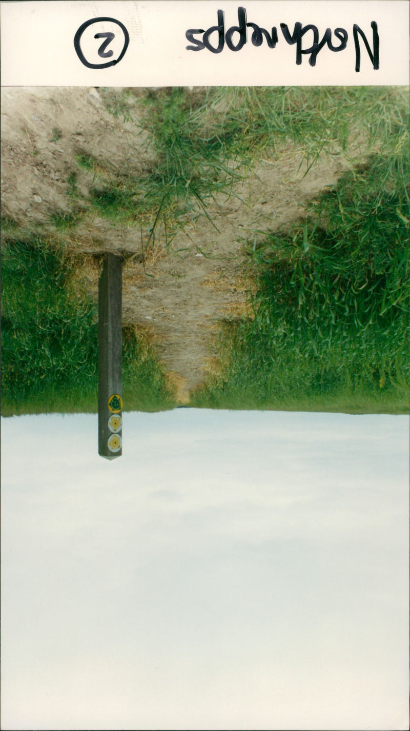 View of the nature. - Vintage Photograph