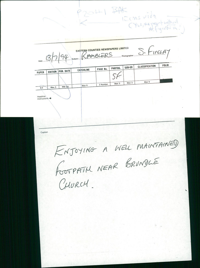 View of the nature. - Vintage Photograph