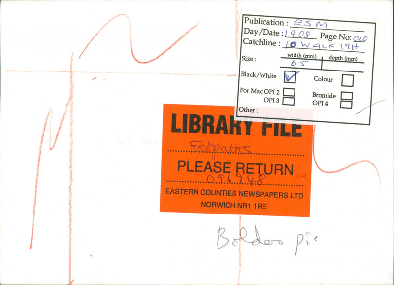 View of the nature. - Vintage Photograph