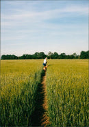 View of the nature. - Vintage Photograph