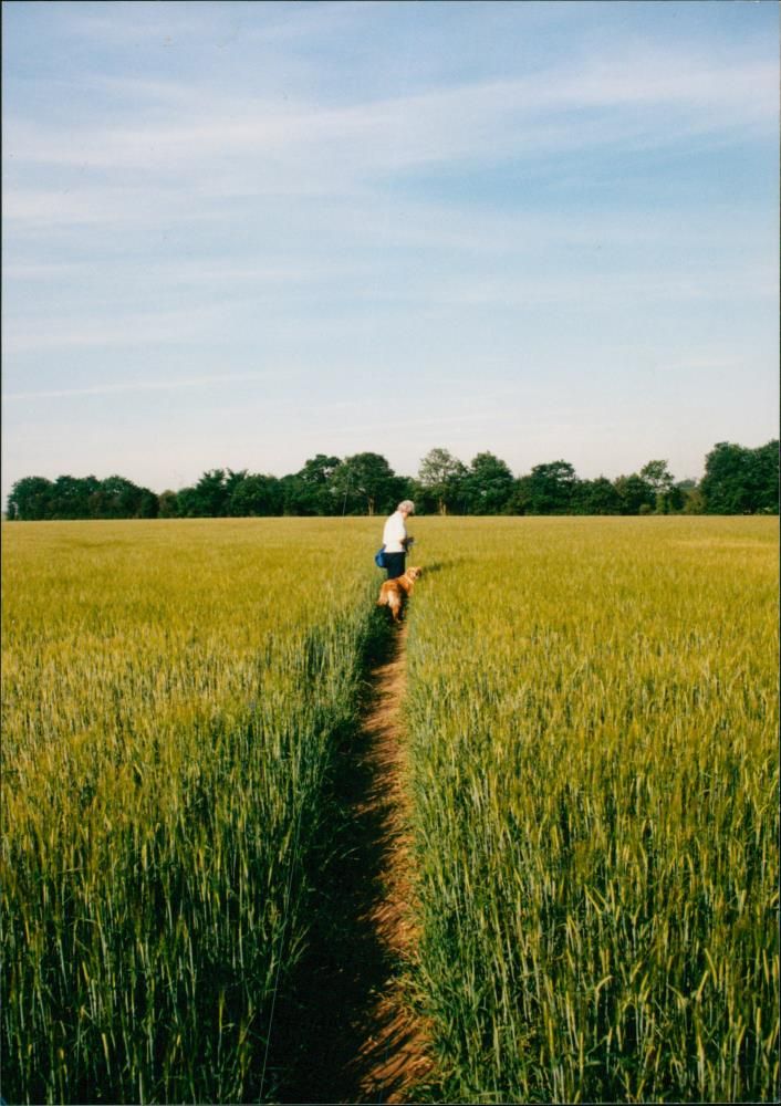 View of the nature. - Vintage Photograph