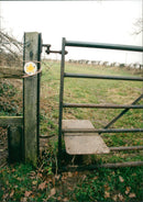 View of the nature. - Vintage Photograph