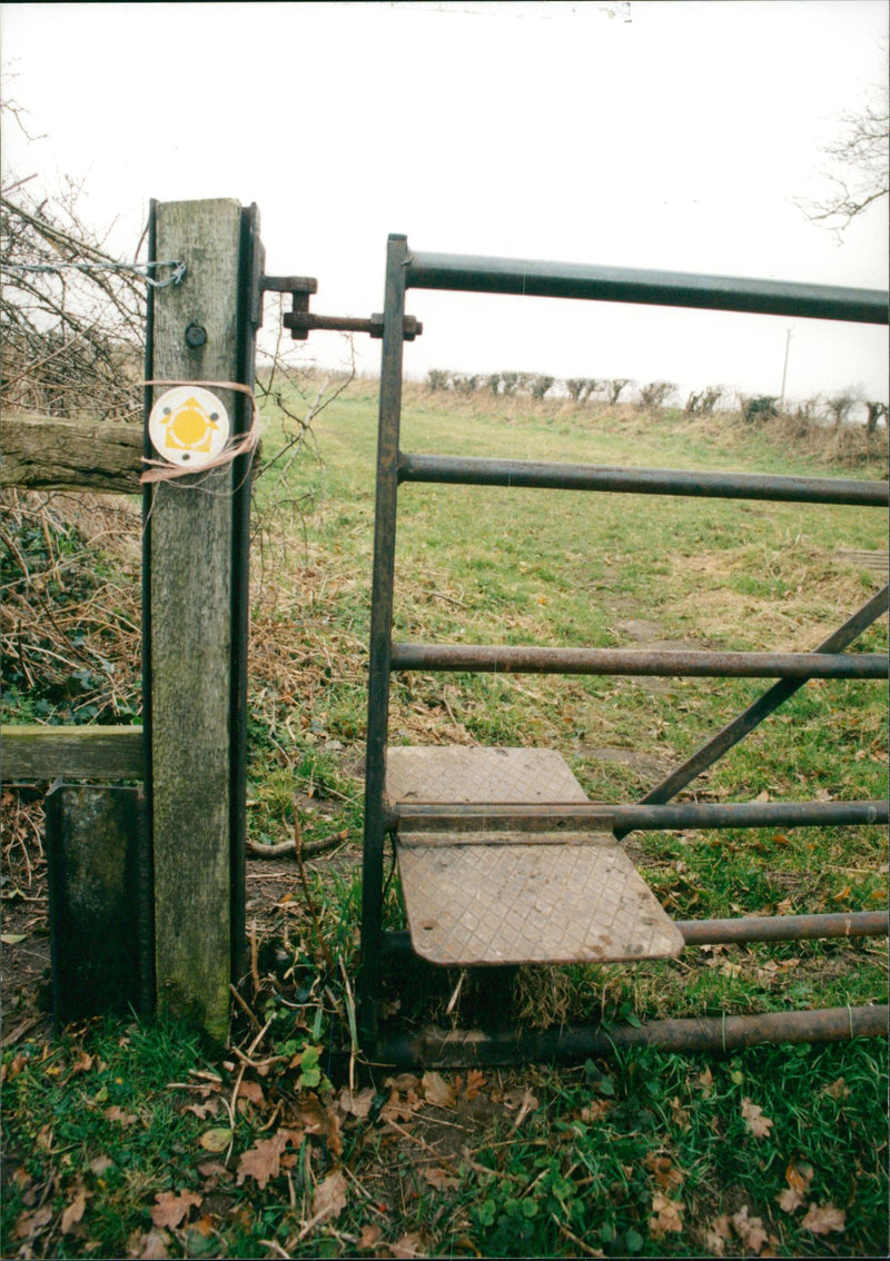 View of the nature. - Vintage Photograph