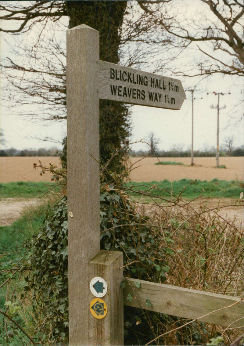 View of the nature. - Vintage Photograph