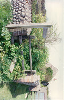 View of the nature. - Vintage Photograph
