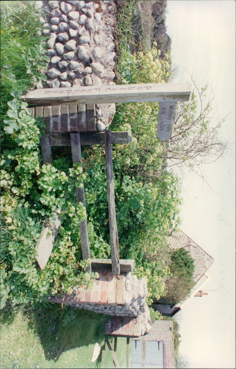 View of the nature. - Vintage Photograph