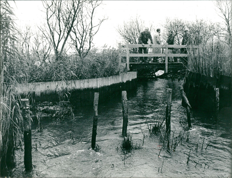 View of the nature. - Vintage Photograph