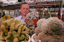 man beside the cactus. - Vintage Photograph