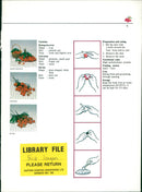 Fruit: Longan berries with the varieties Hohng-howay, Gim-jeng and Oh-hia - Vintage Photograph