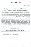 Benedict Gontier with Manuel Solé - Vintage Photograph